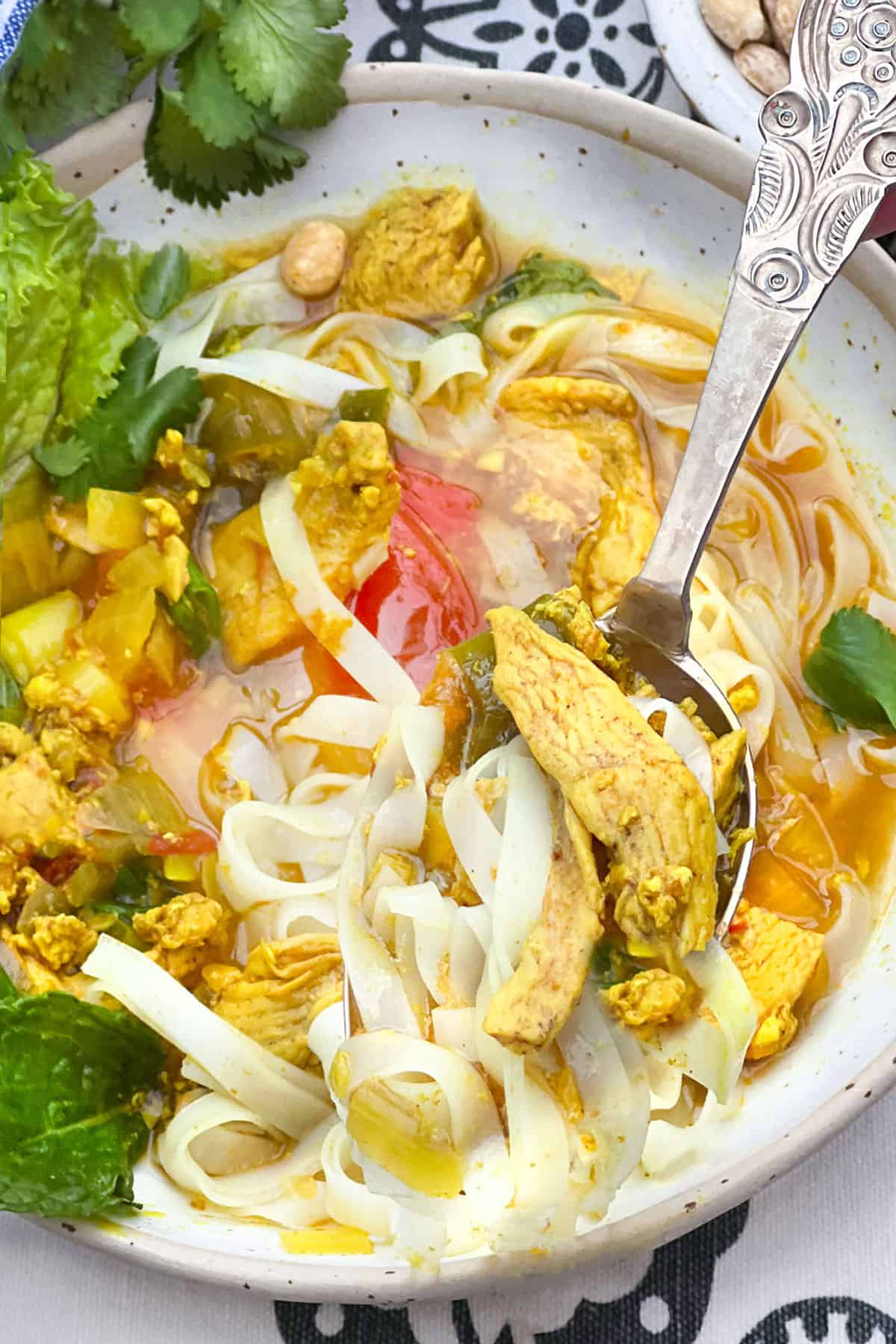 Bowl of noodles and chicken with herbs and lettuce topped with peanuts, a spoon scooping some of the chicken and noodles.