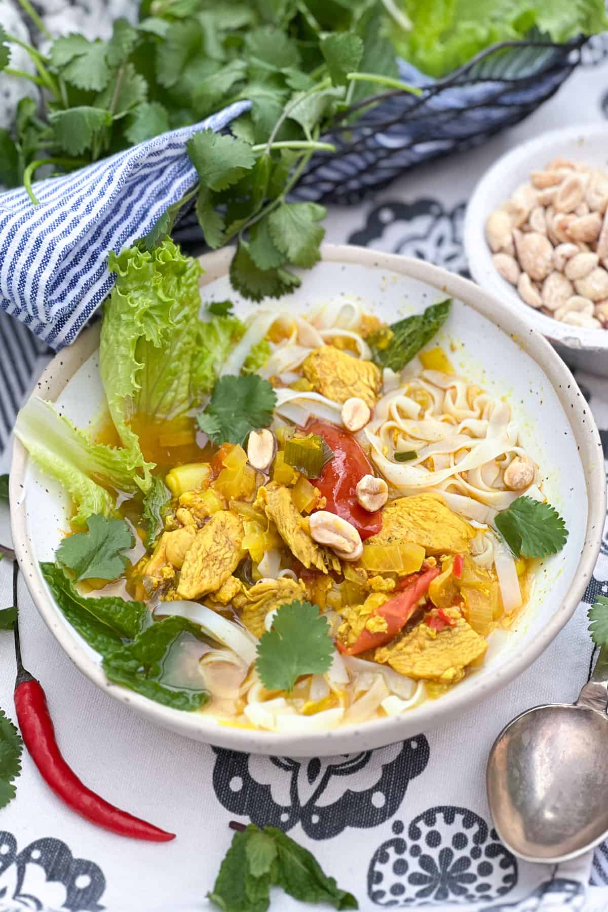 Bowl of noodles and chicken with herbs and lettuce topped with peanuts