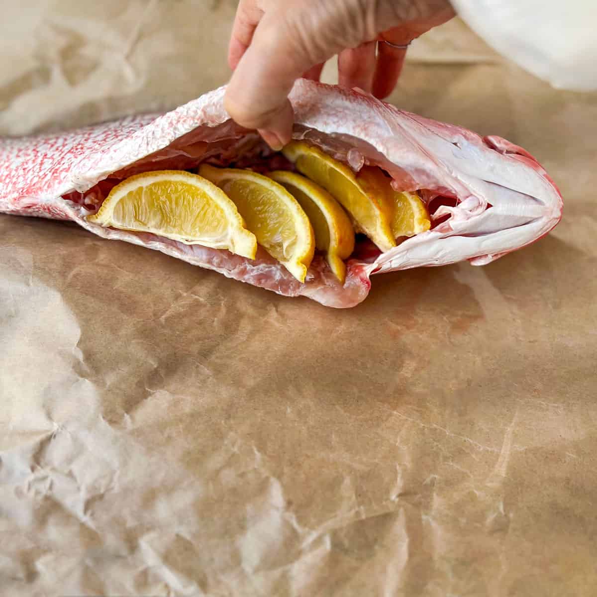 a hand holding open the cavity of a whole red snapper stuffed with five lemon wedges
