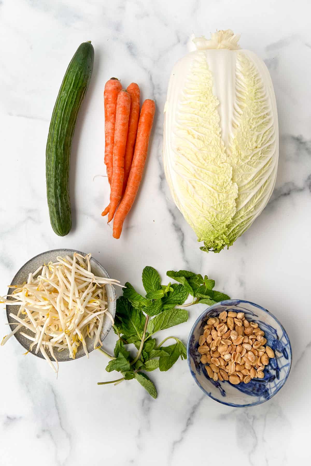 An english cucumber, three carrots, head of savoy cabbage, bowl of bean sprouts, bunch of mint and bowl of peanuts on a marble countertop.