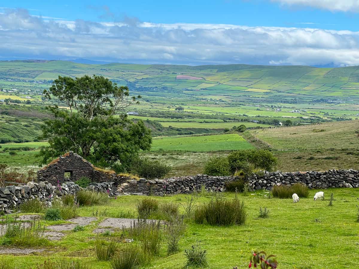 panoramic view of a pasture with a couple of sheep, an ancient stone wall and mountains in the background.