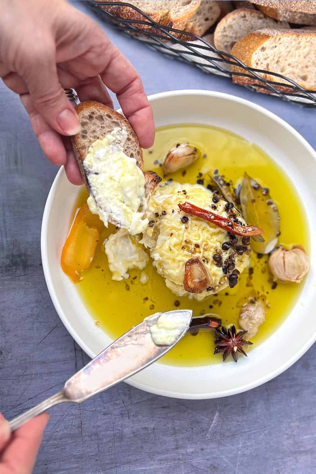 round soft cheese in shallow bowl surrounded with olive oil, herbs and whole spices. Hand holding a baguette slice that has been spread with some of the cheese.