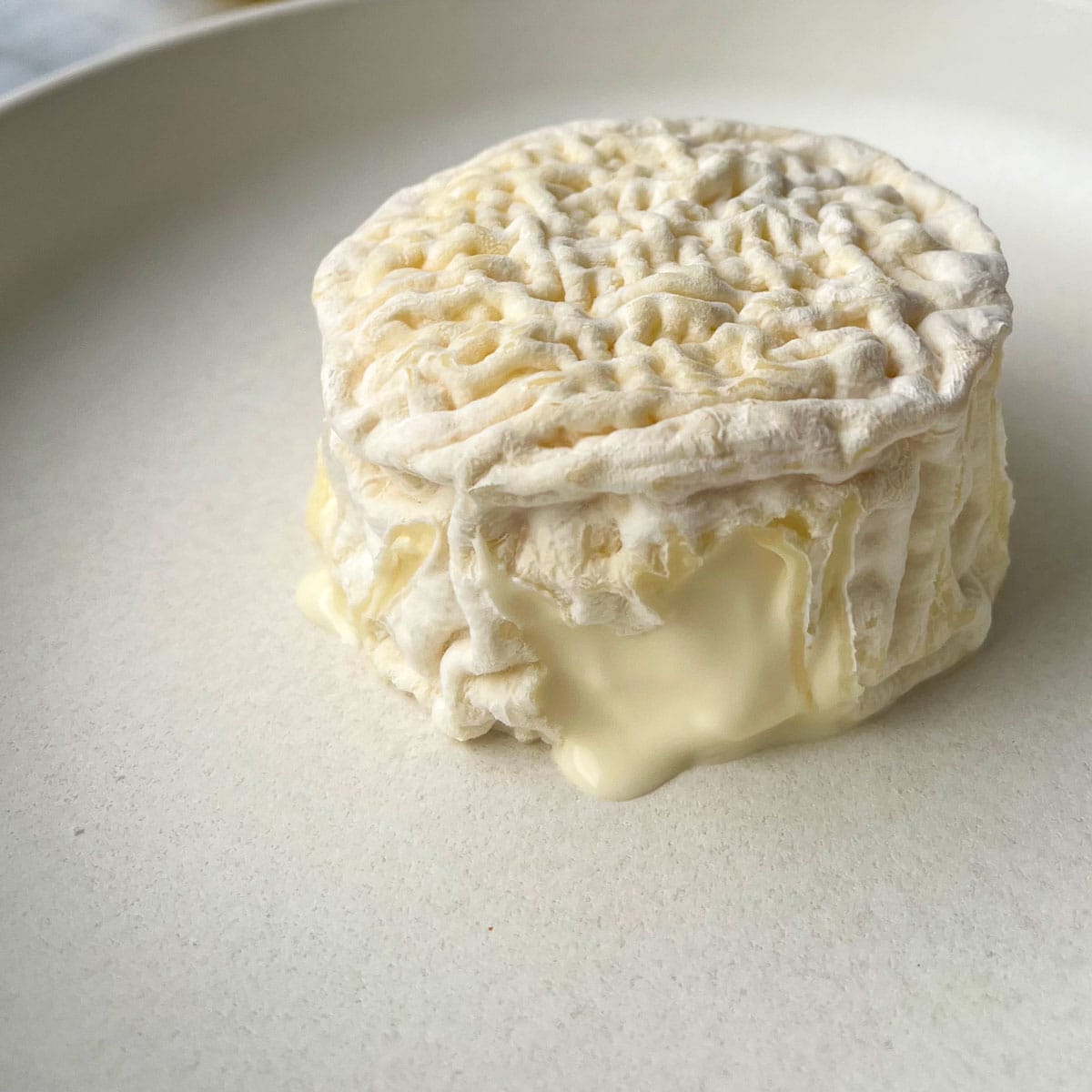 A wheel of La Tur Cheese on a plate
