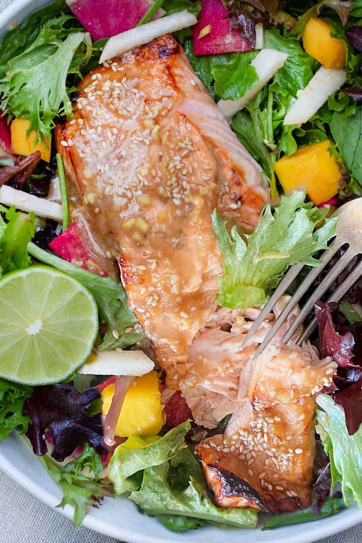 Broiled salmon fillet topped with miso dressing and sesme seeds, on a bed of salad greens with mango chunks, sliced watermelon radishes and matchsticks of jicama.