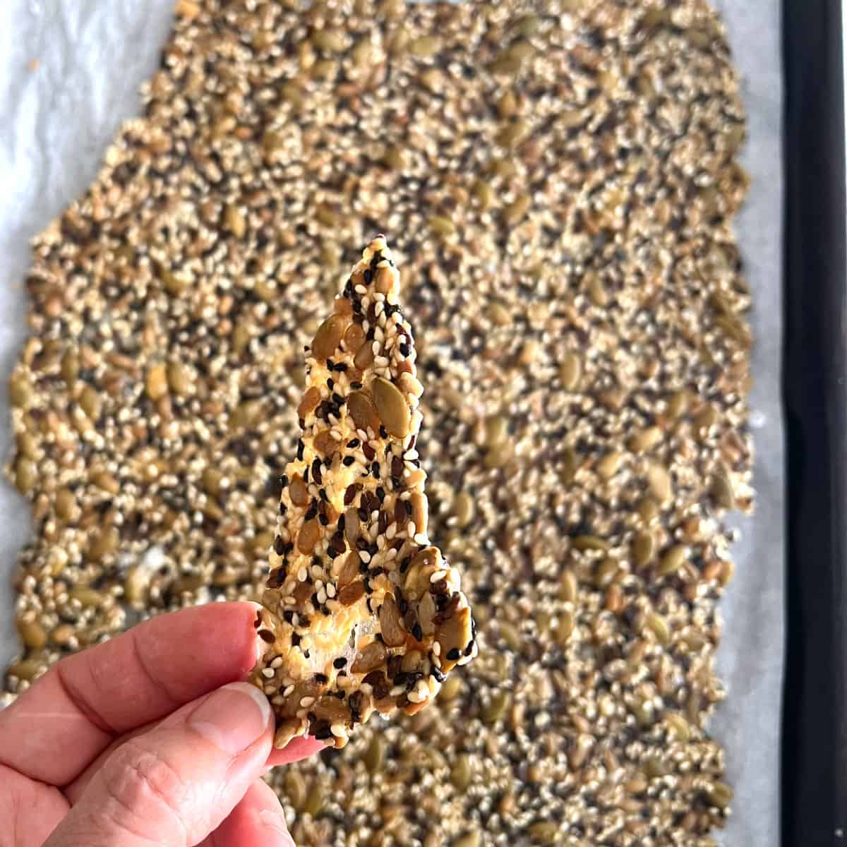 fingers holding a broken off piece of cracker and showing how thin and crisp it looks.