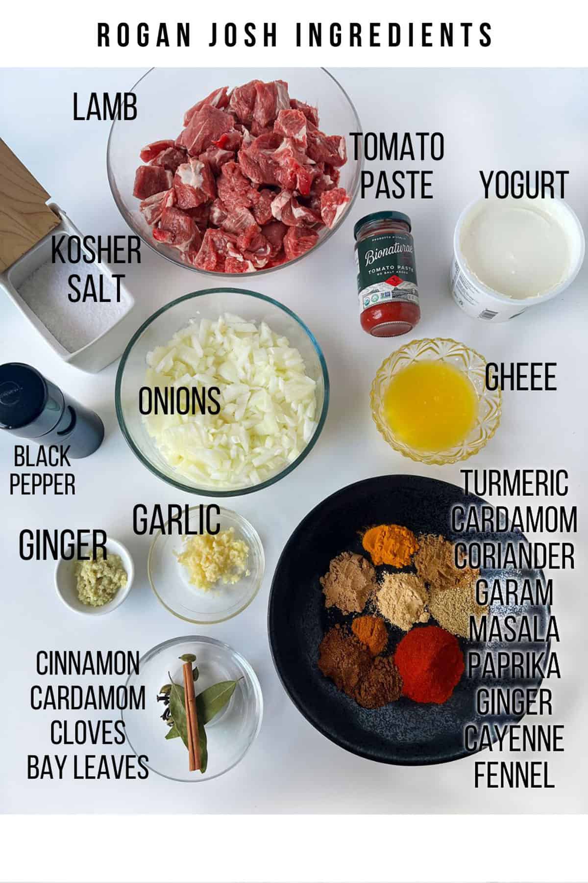 Ingredients for rogan josh, set out on a white background and labeled: chopped onions, cubed lamb, ground spices, grated ginger, minced garlic, tomato paste, ghee, yogurt, salt, pepper, whole spices in a bowl