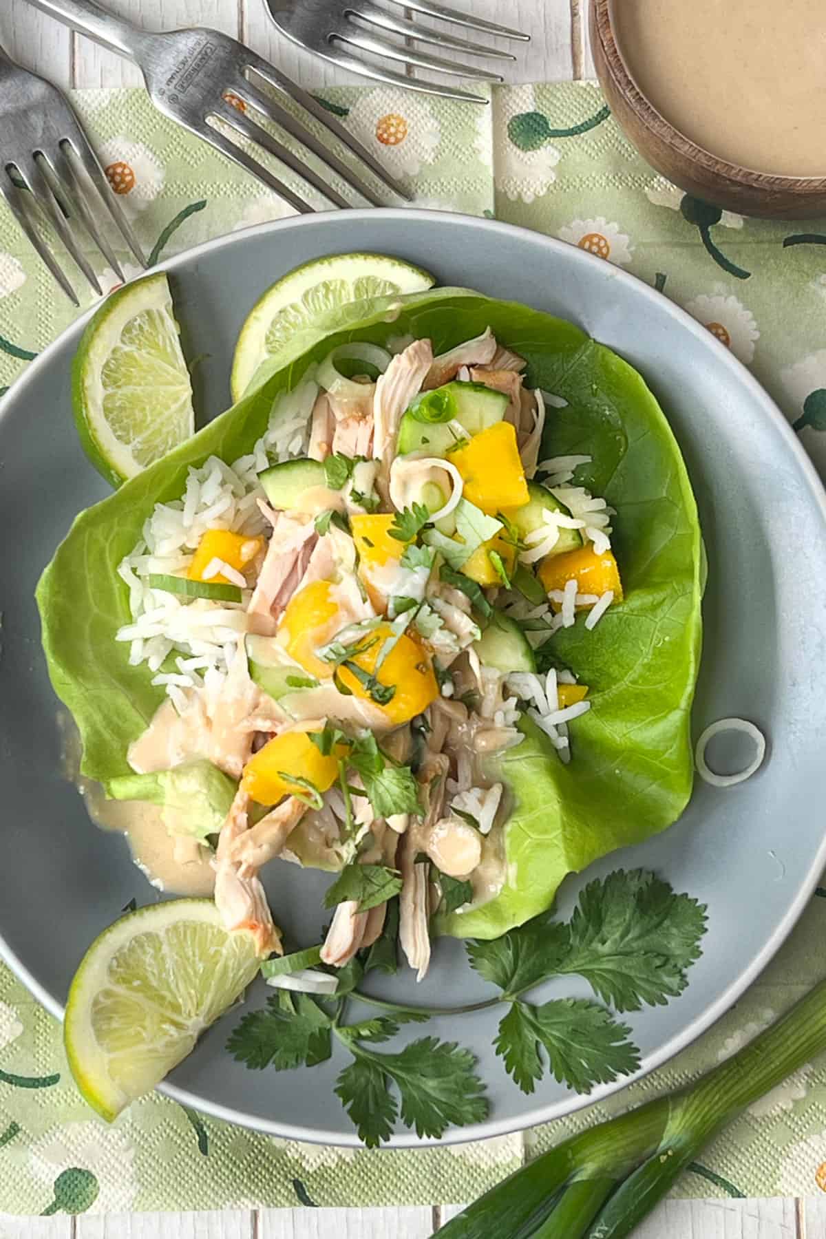 chicken lettuce wrap with rice, mango, cucumber, scallions and ginger dressing.